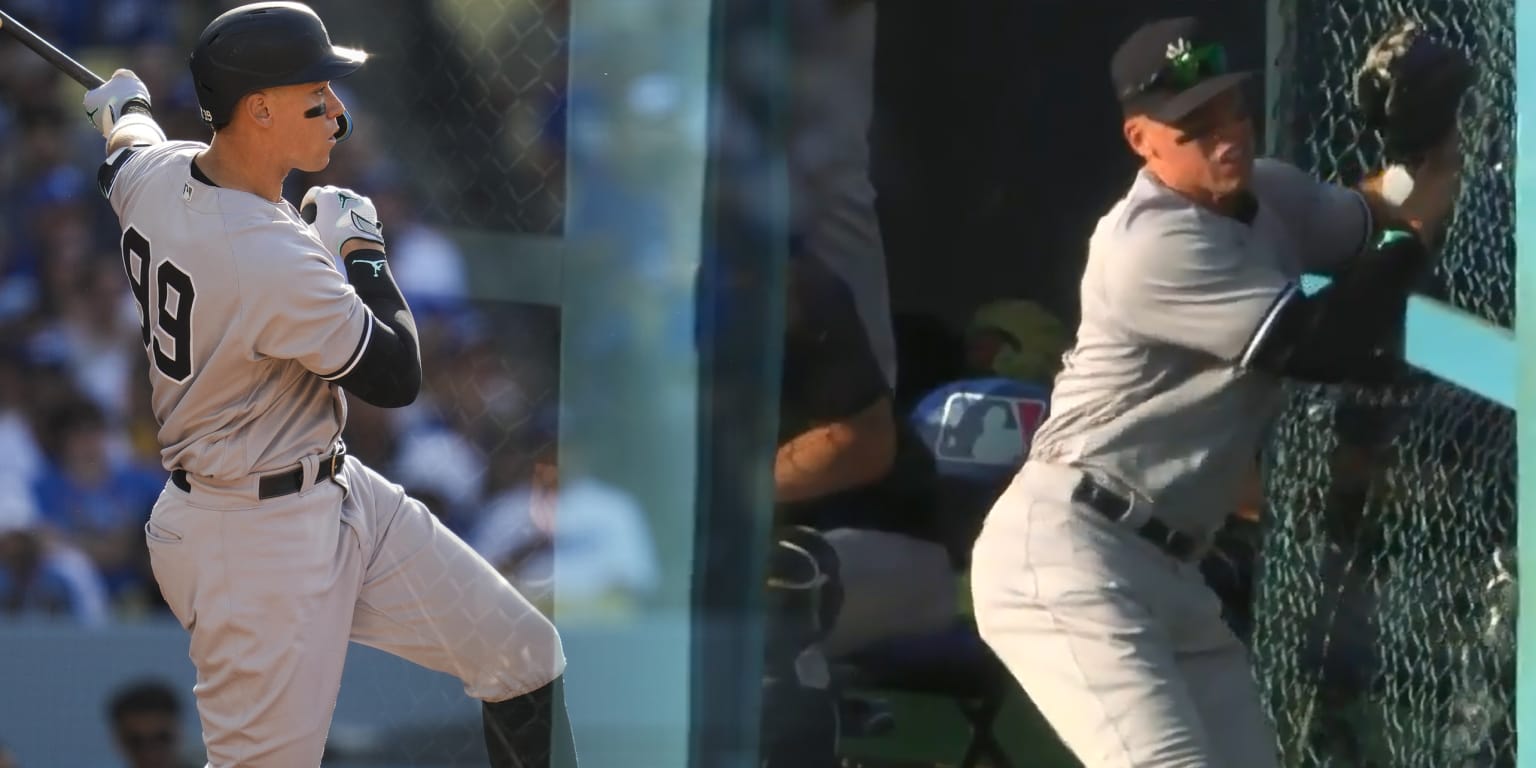 Judge crashes through the fence for catch fit for Hollywood