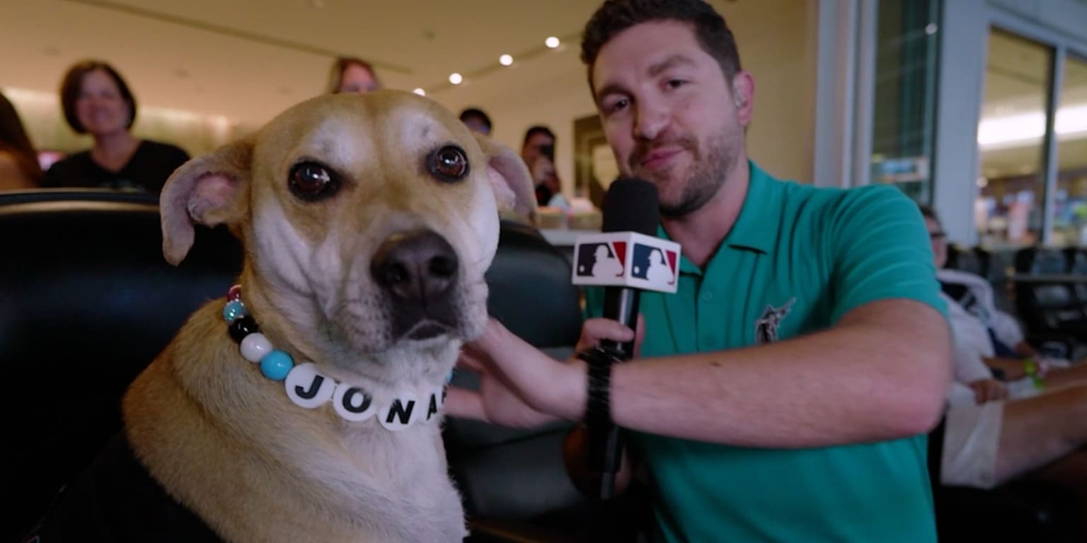 Every dog has its day, and Jonah makes the most of his with Marlins