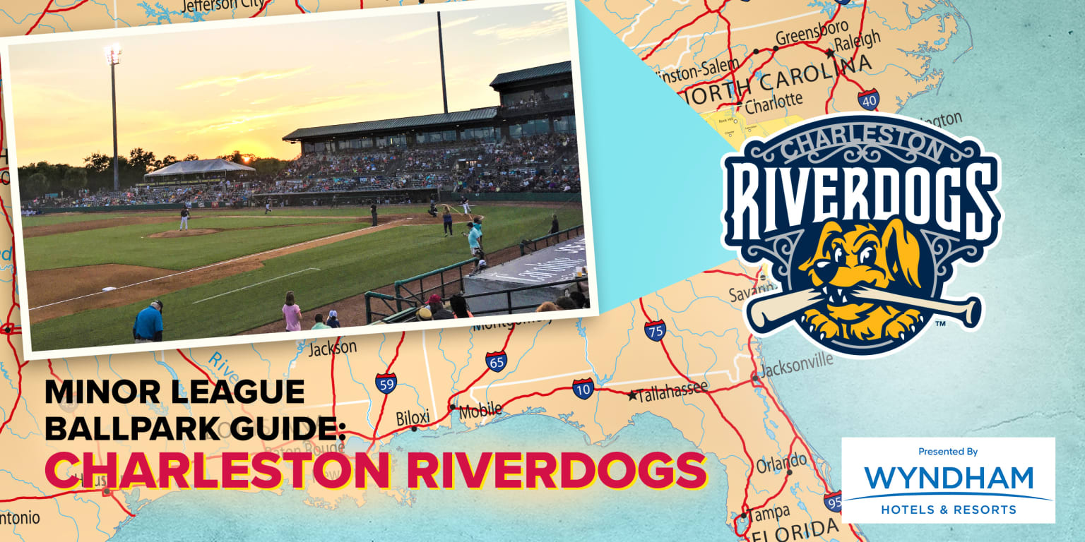 Charleston RiverDogs - Own a piece of RiverDogs history and help