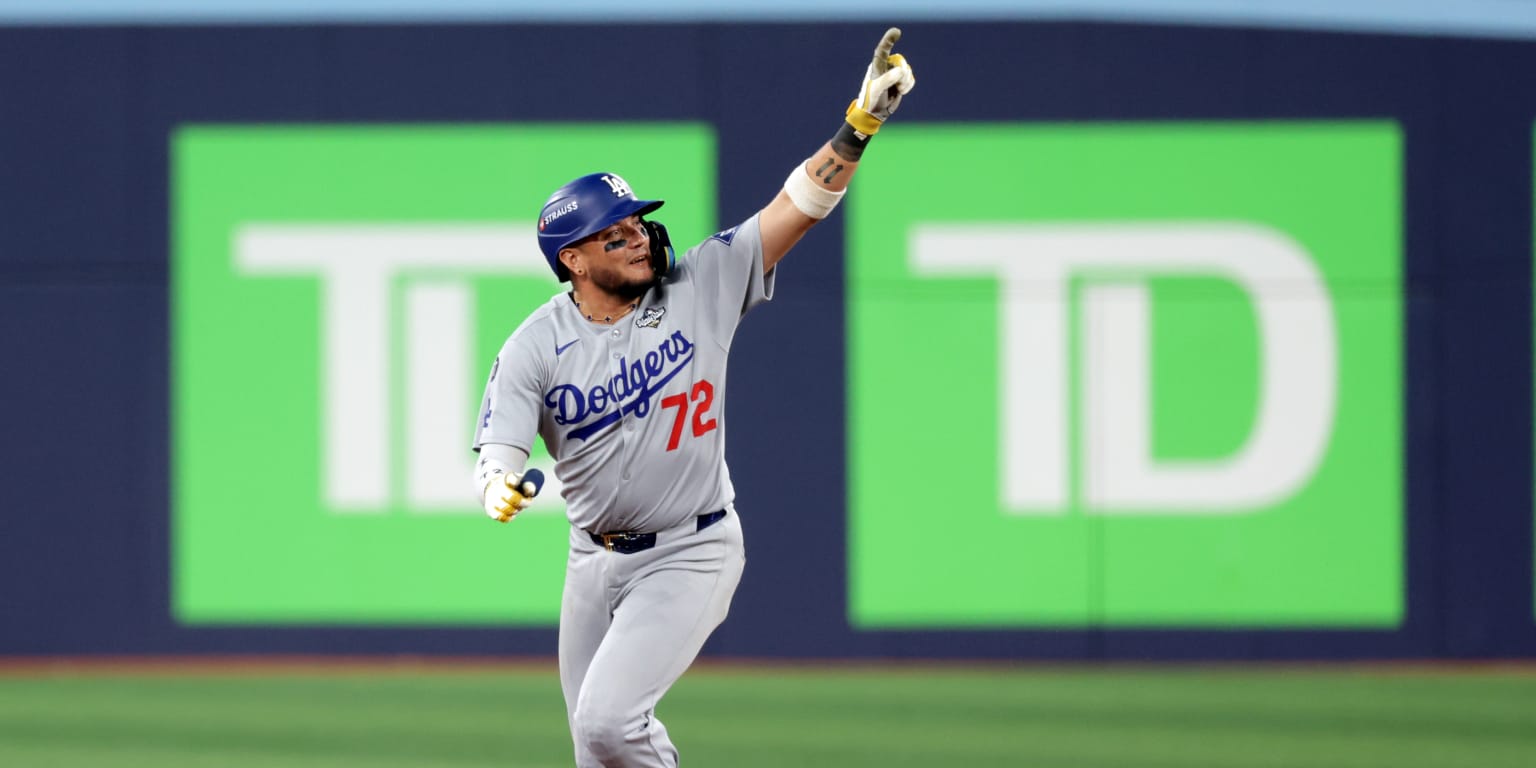 2025年 ドジャース戦 実使用球 キケ ヘルナンデス　ゴア　ファール 2025年 ドジャース戦 実使用球 キケ ヘルナンデス ゴア 空振り 2025年