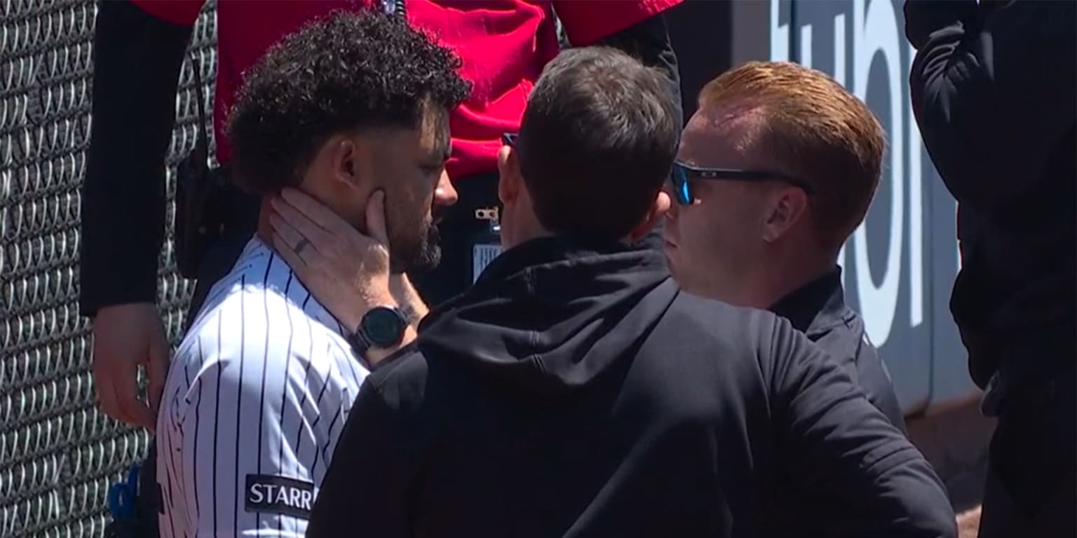 Domínguez carted off in first inning after hard collision with outfield wall