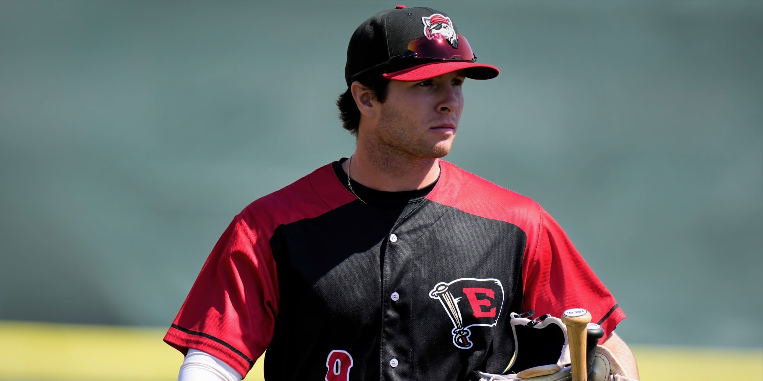 Erie SeaWolves - Player T-Shirt sale! Choose any two player T