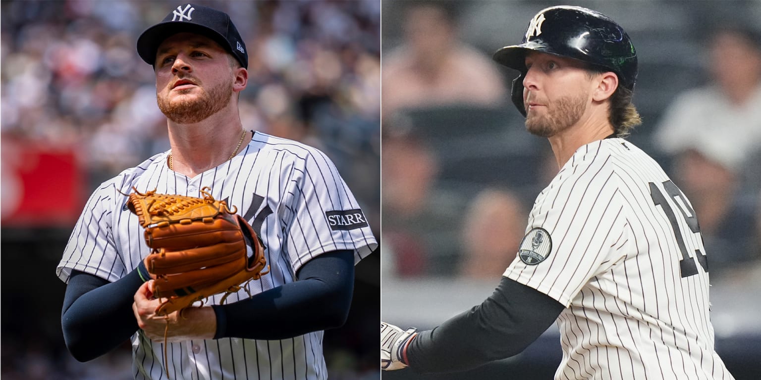 Schmidt, McMahon head to Double-A for rehab assignments