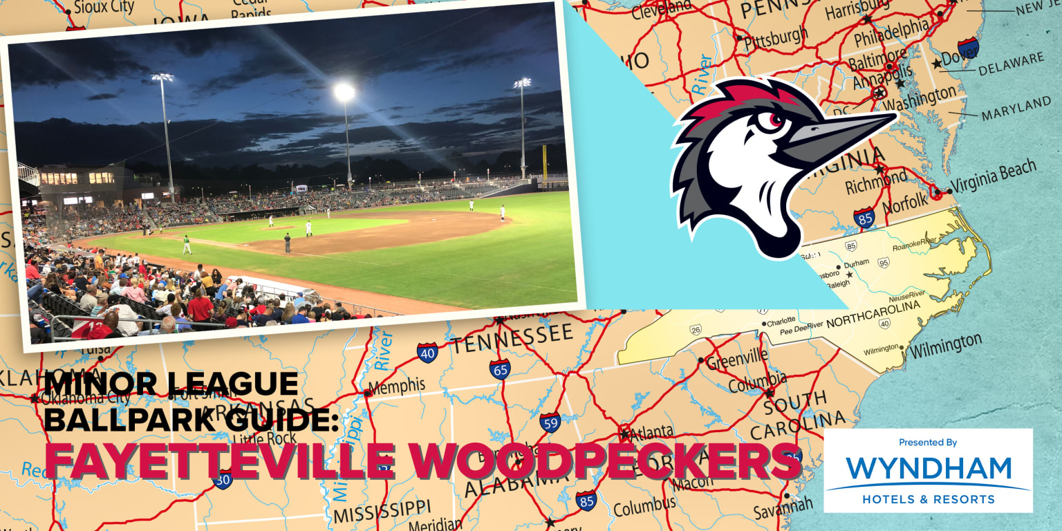 Fayetteville Woodpeckers - Segra Stadium is a place where everyone