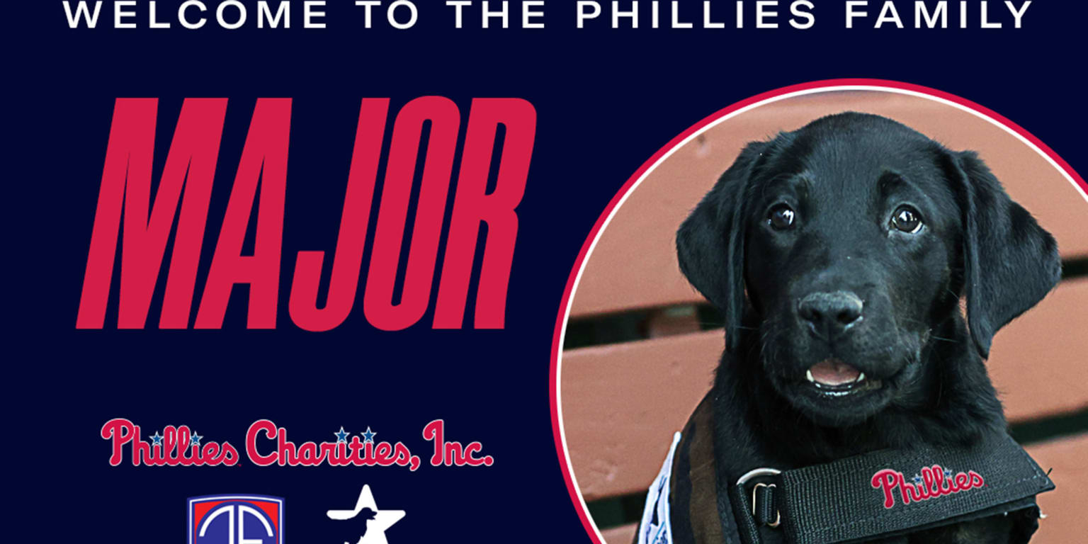 Major', Black Labrador puppy, becomes Philadelphia Phillies' new service  pup in training - 6abc Philadelphia