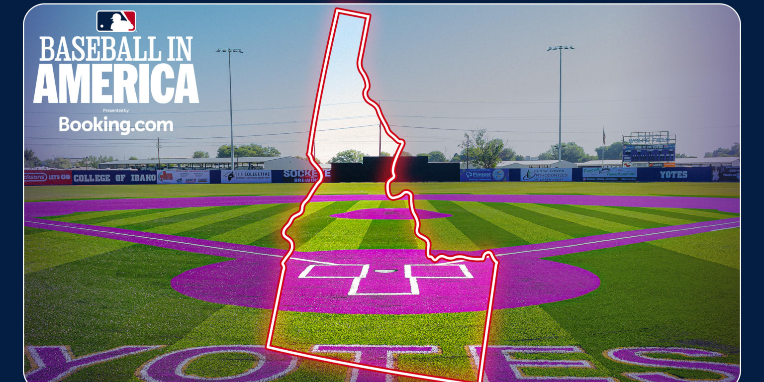 This field in Idaho has purple turf made of recycled tires, and it's stunning