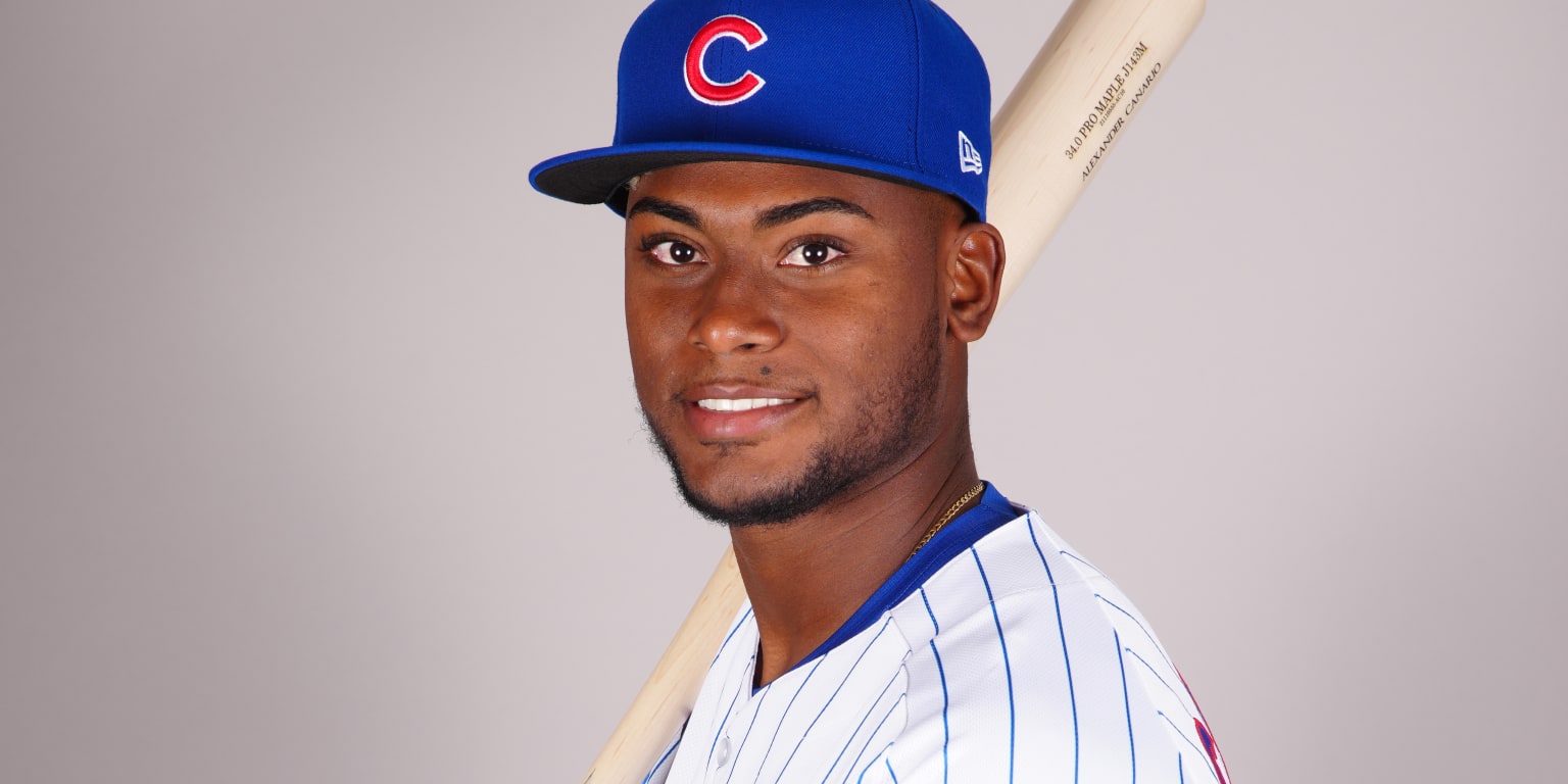 Alexander Canario Chicago Cubs Women's Royal Roster Name & Number