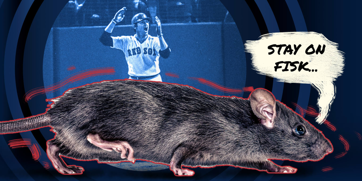 50 years ago, Carlton Fisk (and a rat) changed how we watch baseball on TV