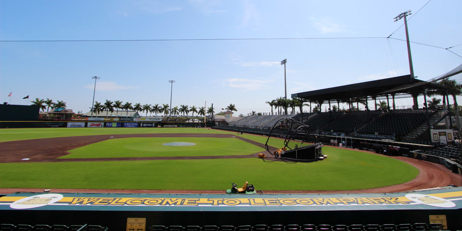 It's nearly spring! Your guide to Pirates camp