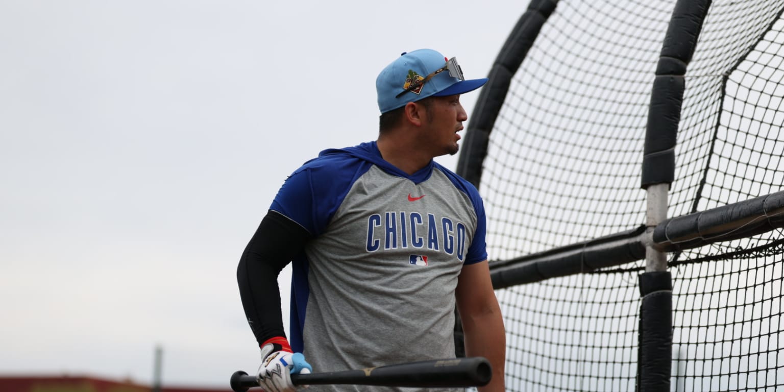 Veteran-laden Cubs could ‘do something really special’ after reaching NLDS in '25