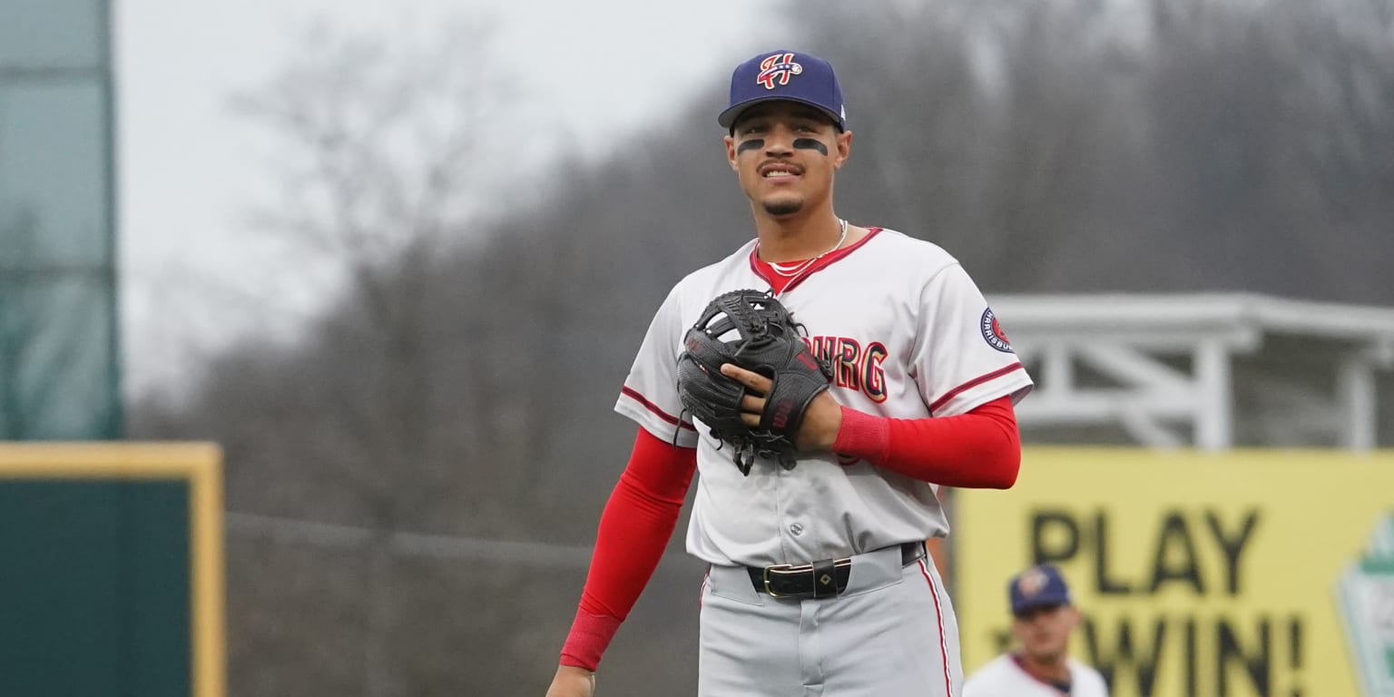 'I’d play on top of a mountain': Get to know Nats prospect Seaver King
