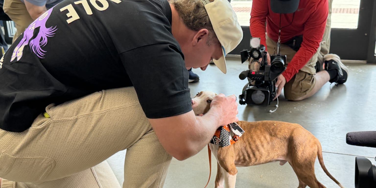 These pictures of Pete Alonso playing with puppies are guaranteed to make you smile