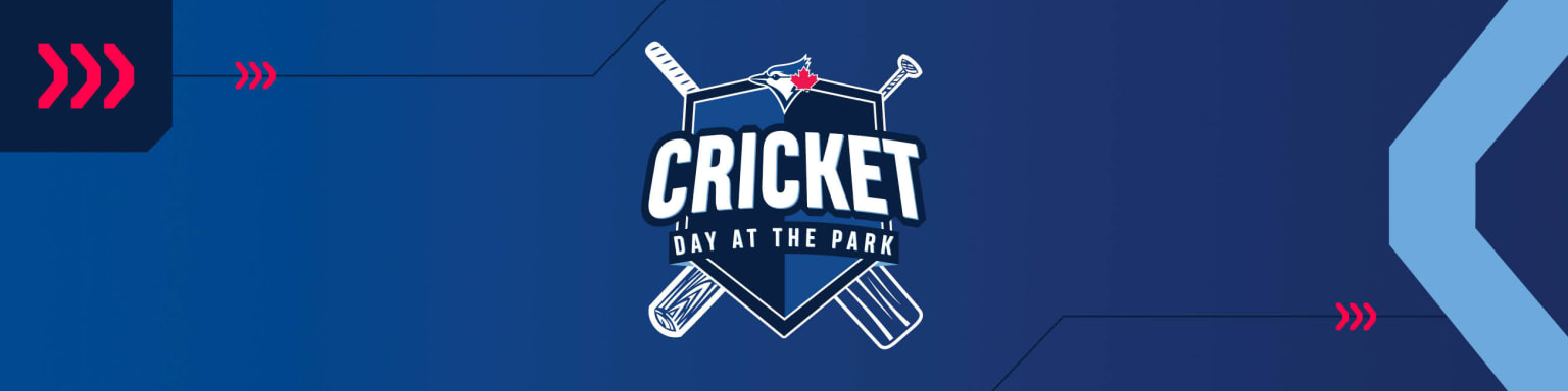 Cricket Day at the Park