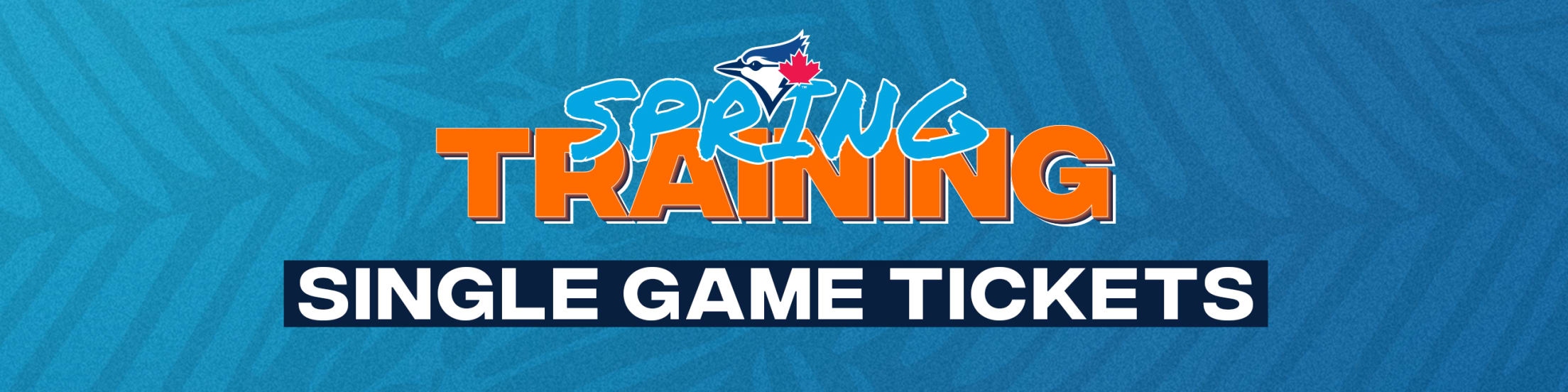 Going to a Blue Jays Spring Training game. – My Memory List