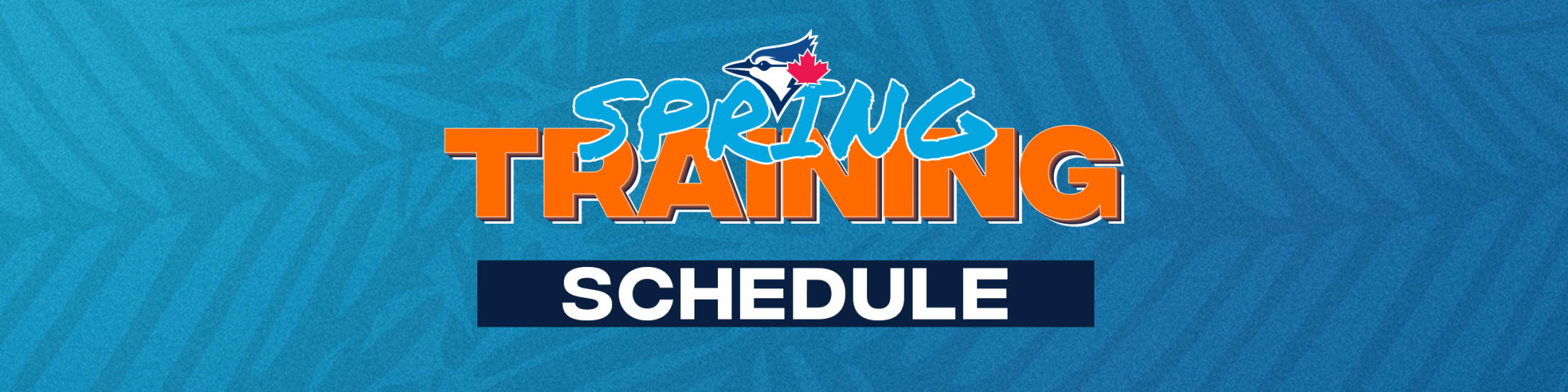 Spring Training Schedule