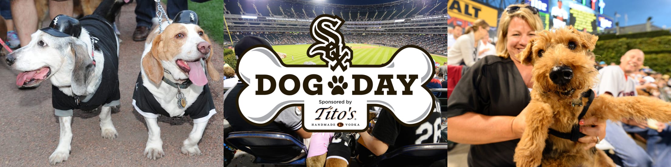 A 'horse' showed up to White Sox's dog promotion - Chicago Sun-Times