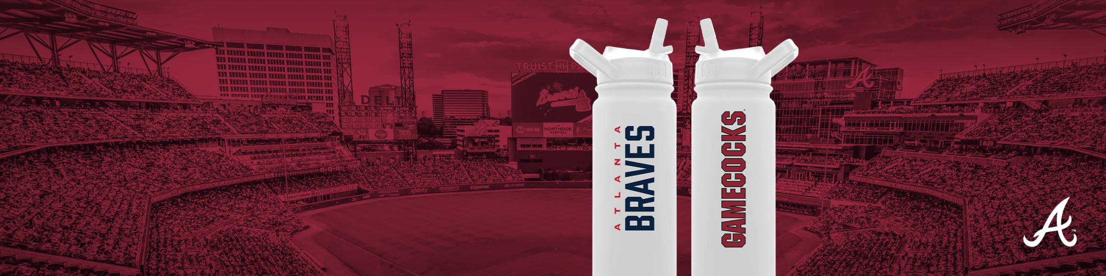 University of South Carolina Ticket Package | Atlanta Braves