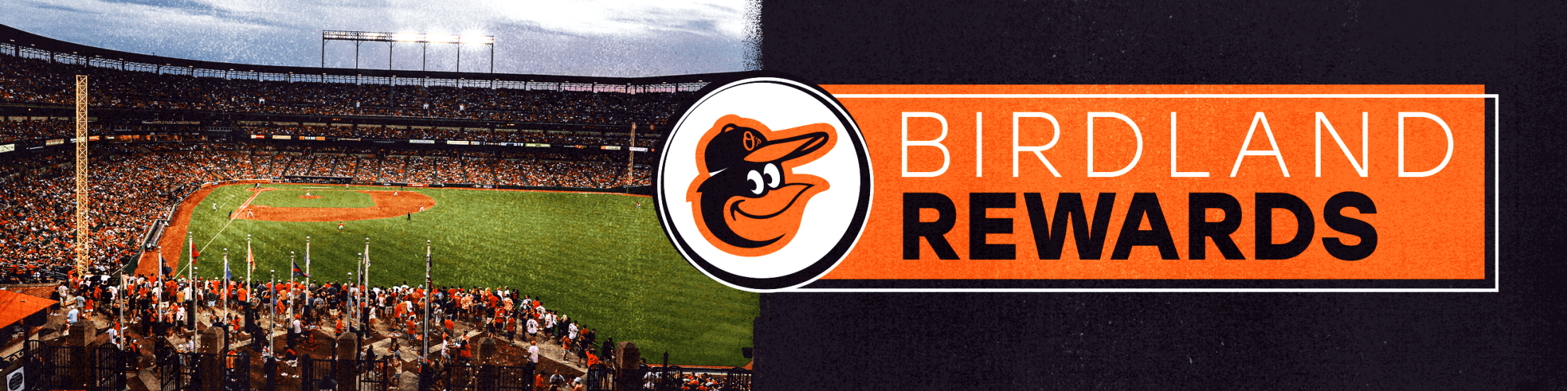 Birdland Rewards  Baltimore Orioles