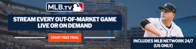 Detroit Tigers デトロイトタイガース コメリカパーク パズル Detroit Tigers デトロイトタイガース 焼き付ける コメリカ