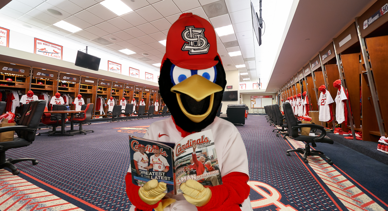 Meet Fredbird the Cardinals Mascot | St. Louis Cardinals