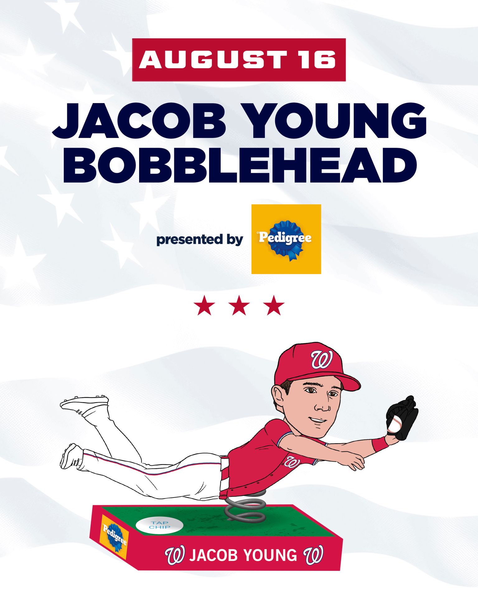 ジョーダン・ジマーマン ノーヒットノーラン ボブルヘッド ワシントン