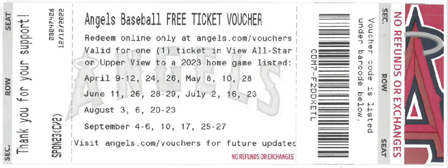 Seattle Seahawks Game Ticket Gift Voucher