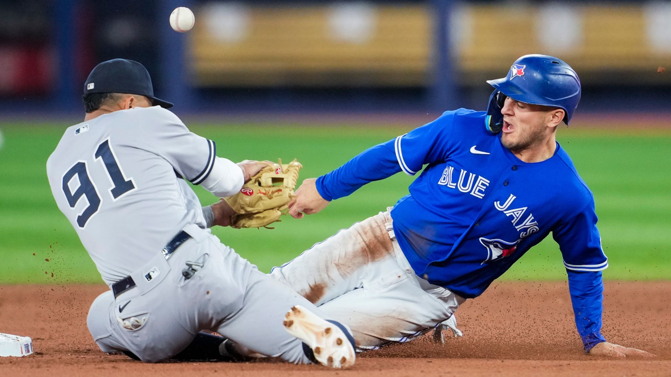 1,110 Blue Jays World Series Stock Photos, High-Res Pictures, and