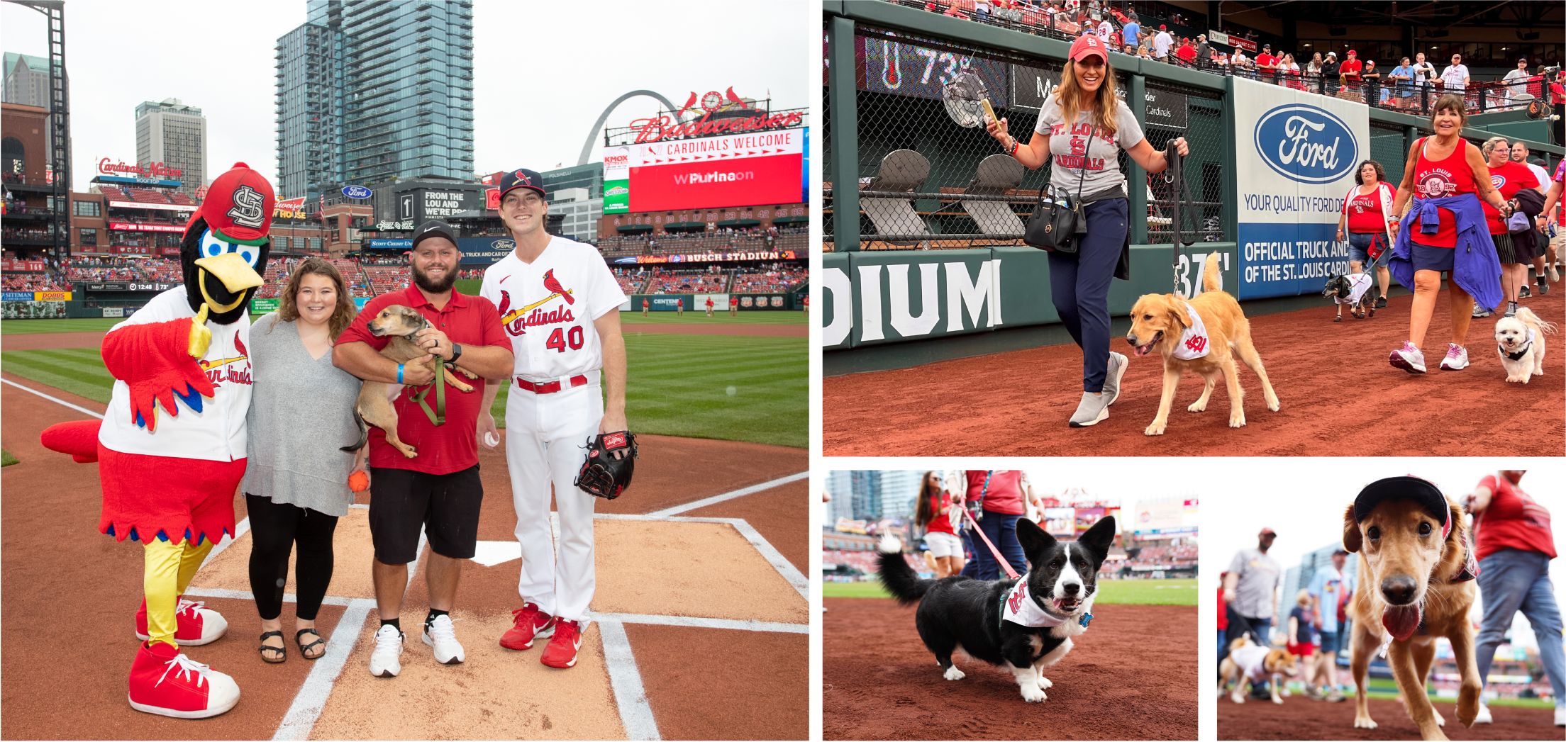 A dog owner takes a selfie with his pet at home plate as part of the Bark  in the Park promotion following a baseball game between the Seattle  Mariners and the Chicago