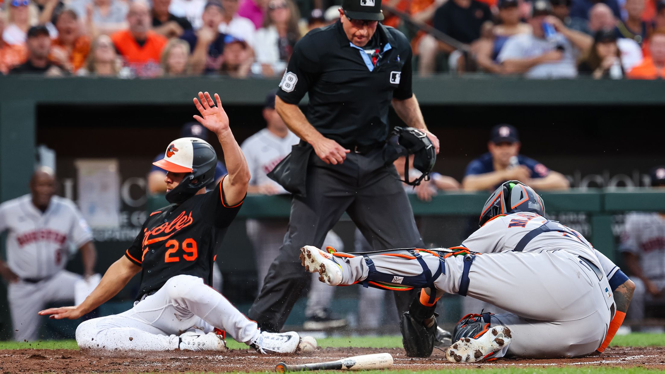 381,853 Orioles Game Stock Photos, High-Res Pictures, and Images