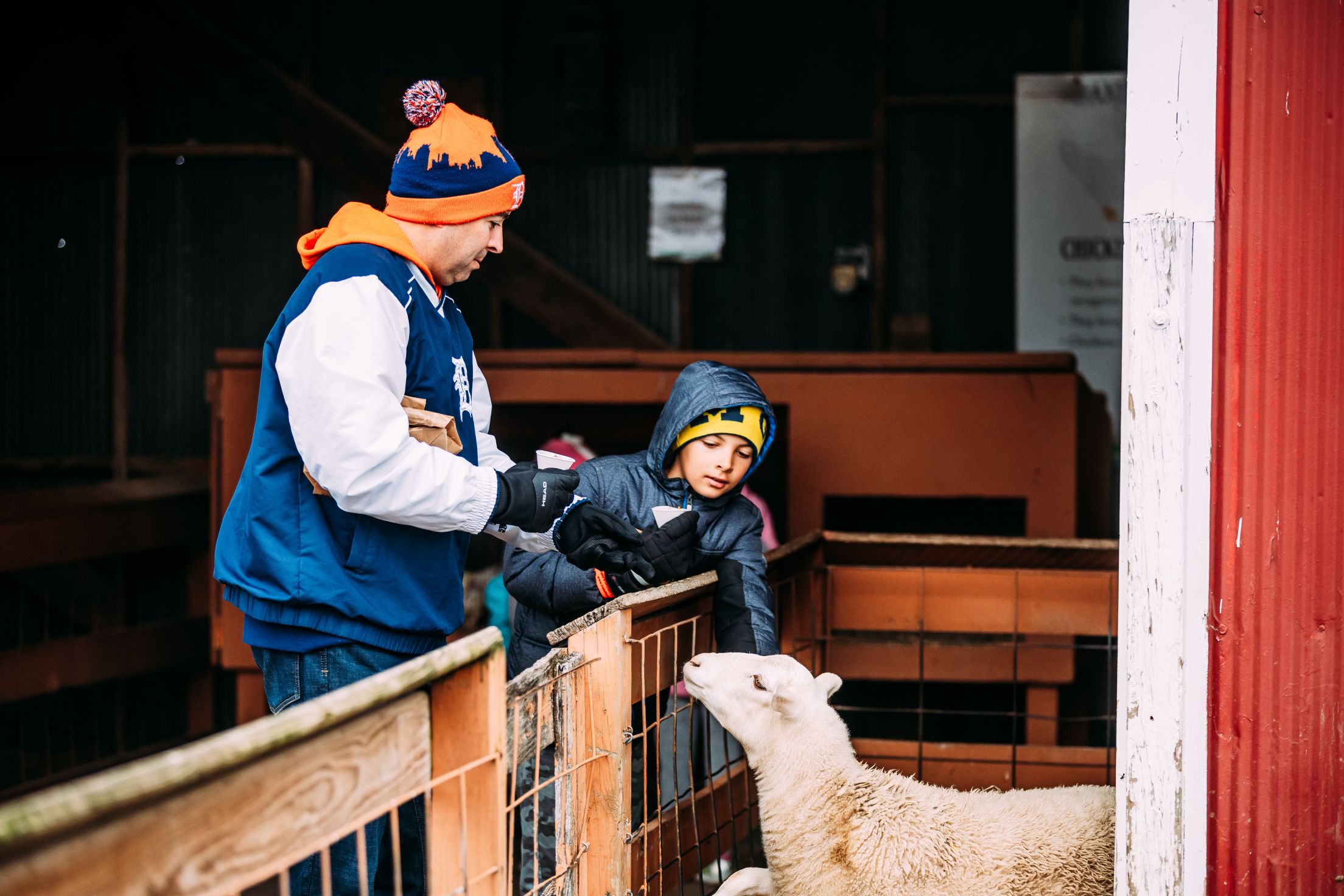 2023 Blakes Orchard Detroit Tigers Detroit Tigers