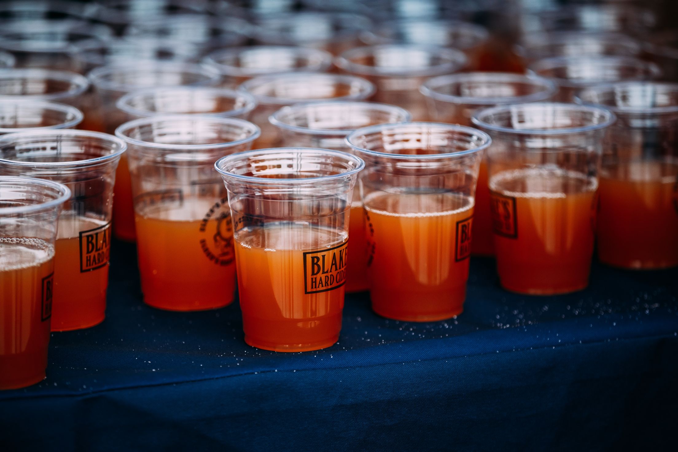 2023 Blakes Orchard Detroit Tigers Detroit Tigers