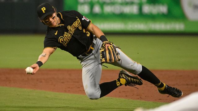 Pittsburgh Pirates catcher Steven Baron falls into the Minnesota