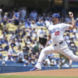 高級品市場 ピ*ウ様 Clayton Kershaw ボブルヘッド 2024/9/25