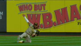 Fernando Tatis Jr. Stats, Age, Position, Height, Weight