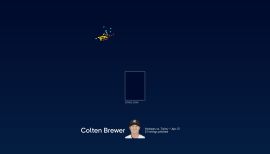 Colten Brewer Men's New York Yankees Road Cooperstown Collection