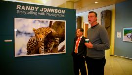 Randy Johnson: Stats, Bio, Highlights & Accomplishments