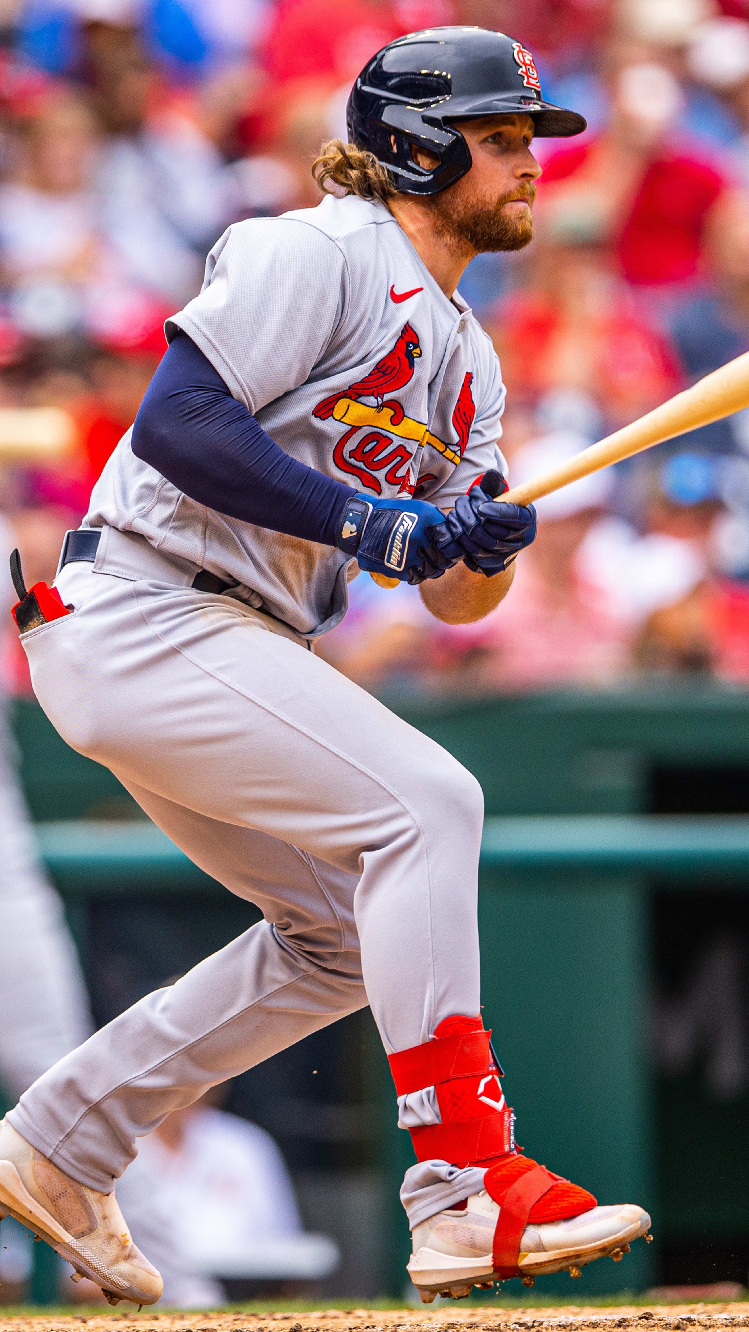 Brendan Donovan discusses World Baseball Classic