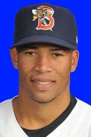 Hansel Robles