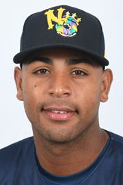 2016 Jacksonville Suns Jarlin Garcia