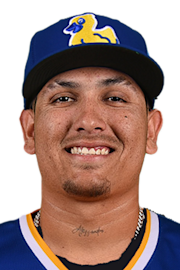 Gabriel Rodriguez Stats Fantasy News Milb Com