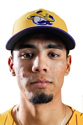 Brayan Mendoza