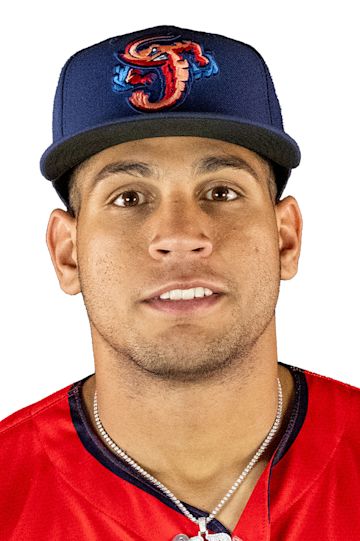 Tampa Tarpons Agustin Ramirez (10) bats during an MiLB Florida