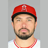 Travis d'Arnaud
