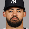 Jasson Dominguez
