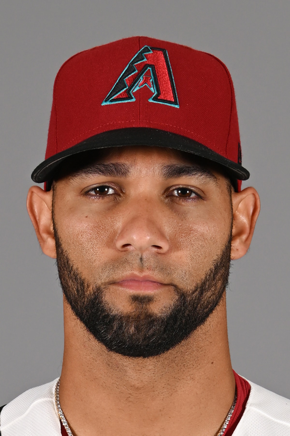 Lourdes Gurriel Jr. official MLB portrait
