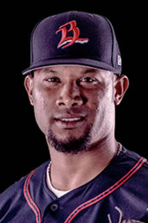 Ricardo Gomez