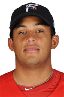 Mario Hollands