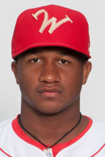 Robinson Torres