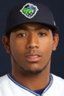 Wagner Mateo