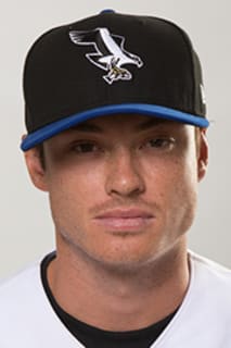 Aaron Sookee
